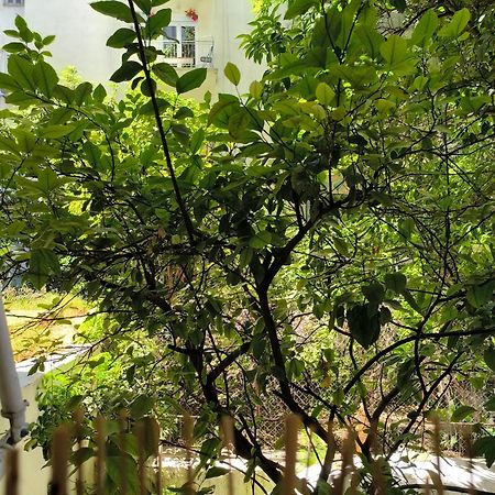 Athens Nice N Easy Apartment المظهر الخارجي الصورة
