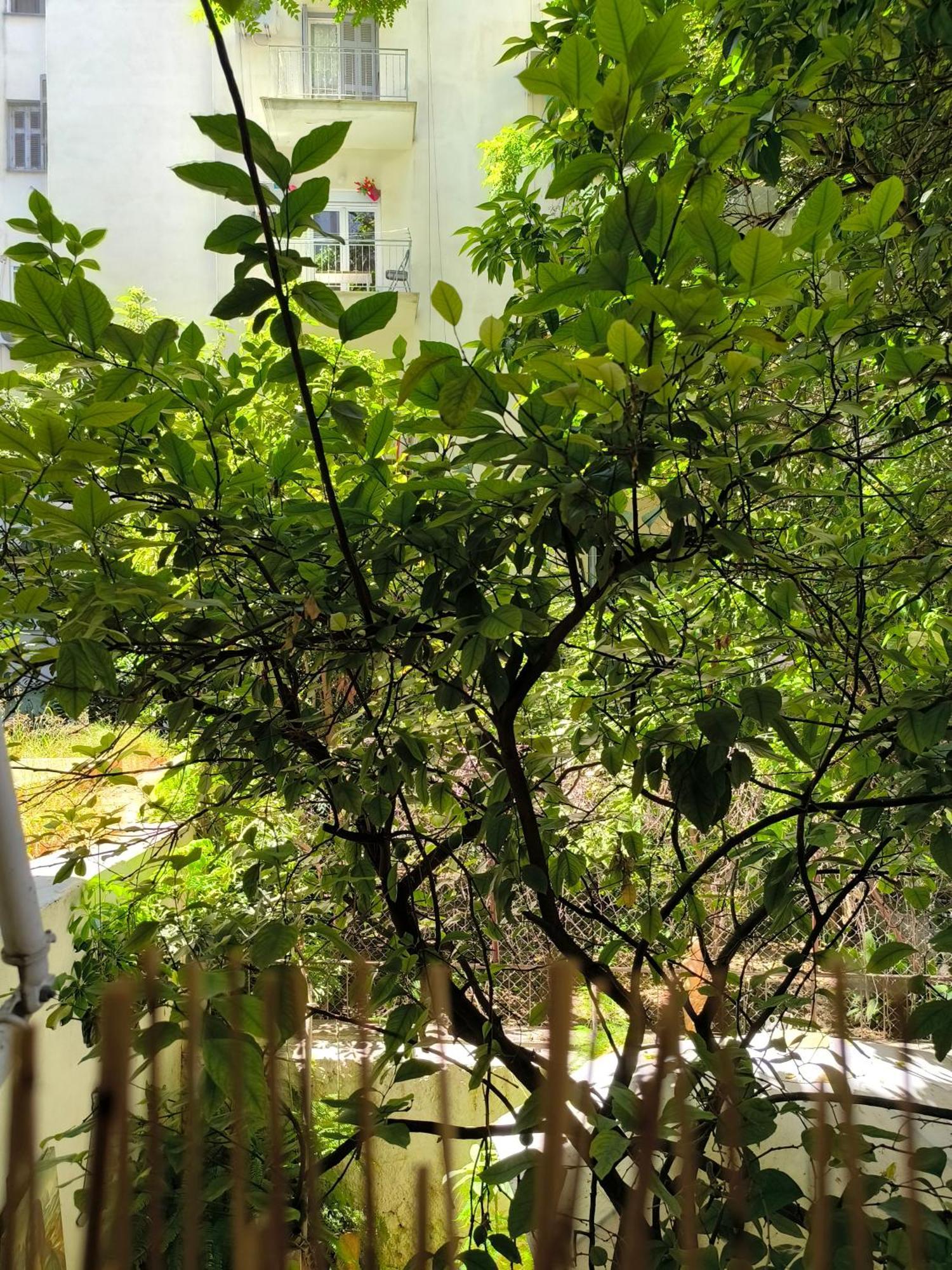 Athens Nice N Easy Apartment المظهر الخارجي الصورة
