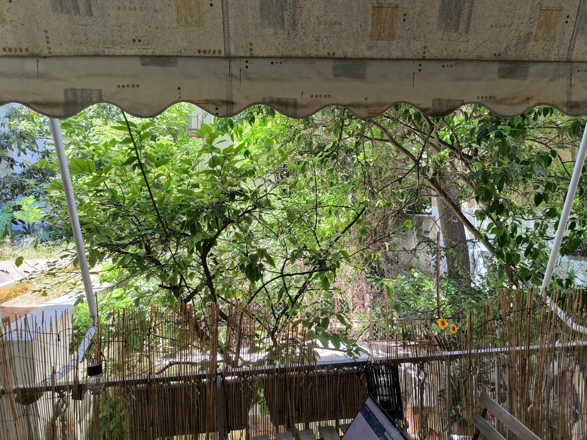 Athens Nice N Easy Apartment المظهر الخارجي الصورة